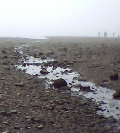 beachseine_082111_lowtidet01_fog.jpg