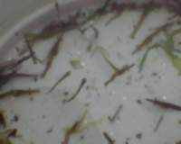 beachseine_082111_lowtidet04_catch2_02_shrimps2_small.jpg